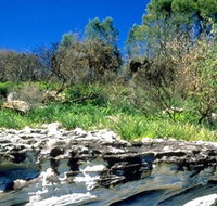 Abrahams Bosom Reserve - Sydney Tourism