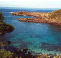 Bass Point Reserve - Sydney Tourism