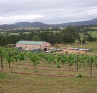 Villa d Esta Vineyard