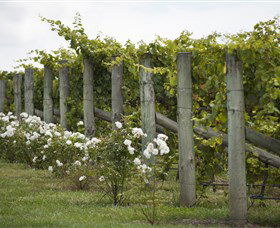 Lambert Vineyards Cellar Door - Sydney Tourism 2