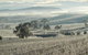 Kurrajong Downs Wines Vineyard - thumb 1