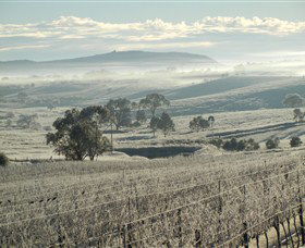 Kurrajong Downs Wines Vineyard - Sydney Tourism 1