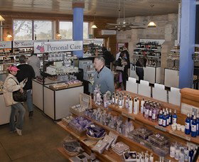 Pokolbin Estate Vineyard - Sydney Tourism 2