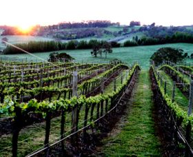 Philip Shaw Wines - Sydney Tourism 1