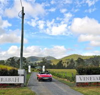 Sarabah Estate Vineyard - Sydney Tourism