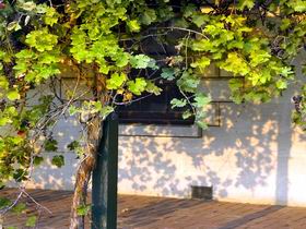Bowen Estate - Sydney Tourism 0