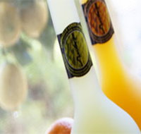 Ambra Limoncello - Sydney Tourism