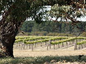 Wangolina Station - Sydney Tourism 3