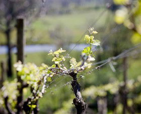 Mount Cole WineWorks - Sydney Tourism 0