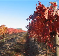 Kooyonga Creek Wines - Sydney Tourism