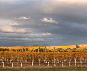 Coombe Yarra Valley - Sydney Tourism 1