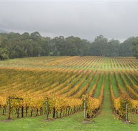 Boat O'Craigo Wines