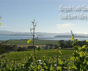 Coal Valley Vineyard - Sydney Tourism 5