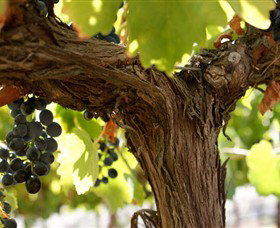 Ravenswood South VIC Sydney Tourism