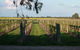 Water Wheel Vineyards - thumb 0