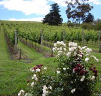 Pembroke Estate Vineyard - Sydney Tourism