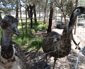 Narana Aboriginal Cultural Centre - Sydney Tourism 4