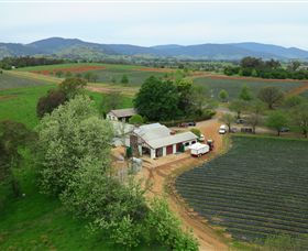 Mongans Bridge VIC Sydney Tourism