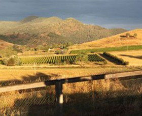 Optimiste Wines - Sydney Tourism 0