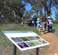 South Gundagai Woodlands Walk - Sydney Tourism