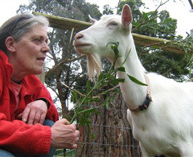 Karmic Goat Soapworks - Sydney Tourism 2