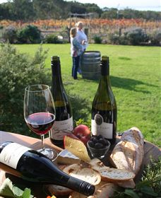 Kiltynane Wines - Sydney Tourism 1