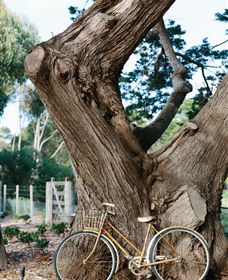 Kiltynane Wines - Sydney Tourism 8