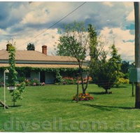 Tumut Valley Violets - Sydney Tourism