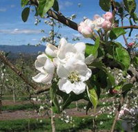 Mouat's Farm - Sydney Tourism