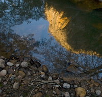 Abercrombie Karst Conservation Reserve - Sydney Tourism