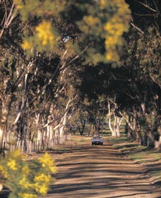 Malyalling ACT Sydney Tourism