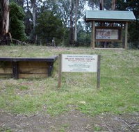 Shelley Forest Camp - Sydney Tourism