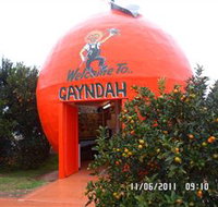 Gayndahs Big Orange - Sydney Tourism