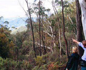 Hume And Hovell Walking Track - Sydney Tourism 5