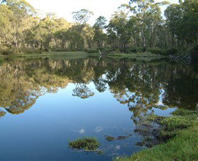 Hume And Hovell Walking Track - Sydney Tourism 6