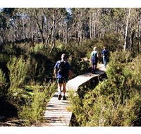 Hume and Hovell Walking Track - Henry Angel Trackhead