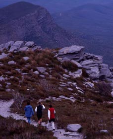 Bluff Knoll, Stirling Range National Park - Sydney Tourism 0
