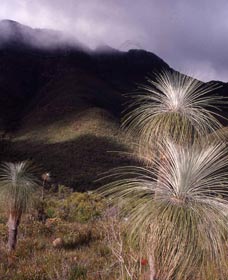 Bluff Knoll, Stirling Range National Park - Sydney Tourism 3