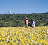 Koolanooka Springs - Sydney Tourism