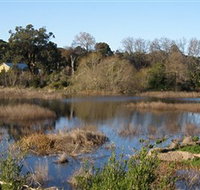 Coolart Wetlands and Homestead - Sydney Tourism