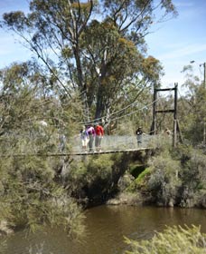 Avon Park - Sydney Tourism 0