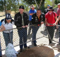 Fossil Rock - Sydney Tourism