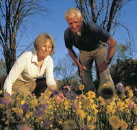Canna Reserve - Sydney Tourism