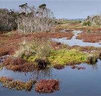 French Island National Park - Sydney Tourism