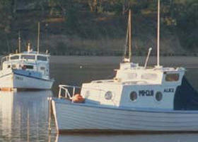 Western Port - Sydney Tourism 0