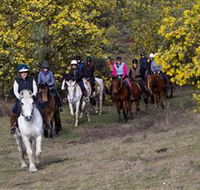 Burnelee Excursions on Horseback - Sydney Tourism