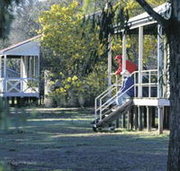 Dryandra Woodland - Sydney Tourism