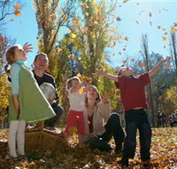 Cotter Avenue recreation area - Sydney Tourism