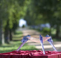 Lillico Glass Studio - Sydney Tourism