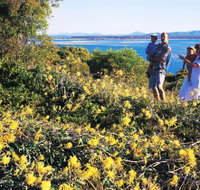 Joseph Banks Conservation Park - Sydney Tourism